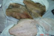 碟魚