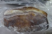 海參(印尼)