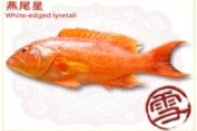 燕尾星